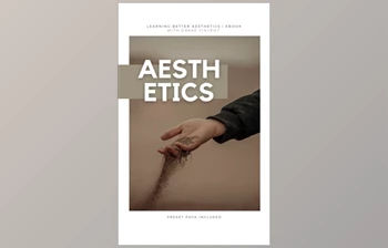 Download Drake Vincent – Building A Better Aesthetic Ebook + Presets (<span class='badge badge-warning'>XMP</span>)