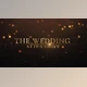 Download Wedding intro (Videohive 23675487) - AE Project