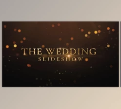 Download Wedding intro (Videohive 23675487) - AE Project