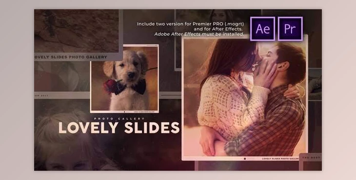 Download Lovely Slides Photo Gallery (Videohive 30449240) - PR Project