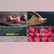 Dynamic Slideshow (Videohive 17243462)
