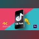 TikTok Promo (Videohive 28202439)