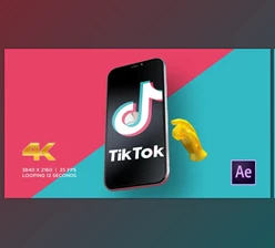 TikTok Promo (Videohive 28202439)