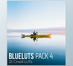 Download BLUELUTS – PACK 4 – Cine4 LUTS (cube)