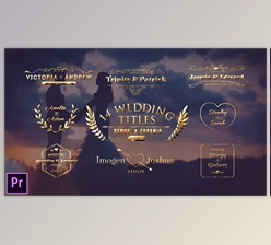 Download Wedding Titles (Videohive 23793642)