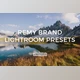 Download FilterGrade – Remy Brand Lightroom Presets (Lrtemplate)