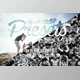 Download Pro Lightroom Presets Combo Pack CreativeMarket-6049841 (XMP)