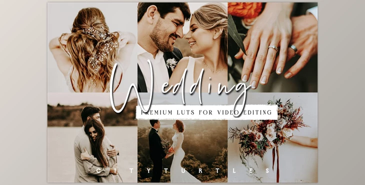 Download Moody Wedding LUTs for Video Editing CreativeMarket-5954073 (cube)