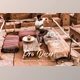 Download 10 Pro Desert Ps, ACR, LUTs Filter CreativeMarket-5996819 (XMP, ATN)