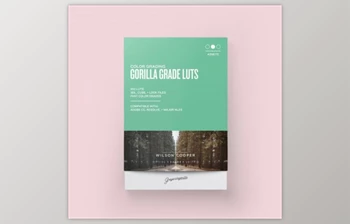 Gorilla Grade <span class='badge badge-warning'>LUTs</span> 2020