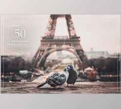 Crella 50 Vintage Paris LUTs (Look Up Tables)