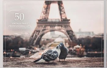 Crella 50 Vintage Paris <span class='badge badge-warning'>LUTs</span> (Look Up Tables)