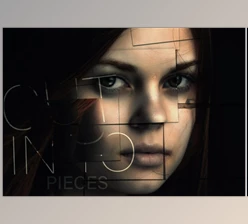 StockAdobe – Cut Out Pieces Photo Effect Mockup 374980064