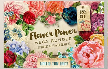 Flower Power <span class='badge badge-warning'>Mega</span> Bundle CreativeMarket-705846