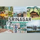 Srinagar Pro Lightroom Presets CreativeMarket-5337734