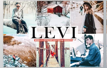 Levi <span class='badge badge-warning'>Pro</span> Lightroom Presets CreativeMarket-5333556