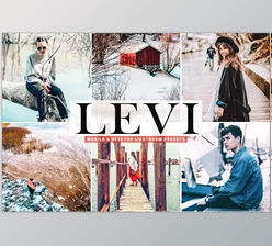 Levi Pro Lightroom Presets CreativeMarket-5333556