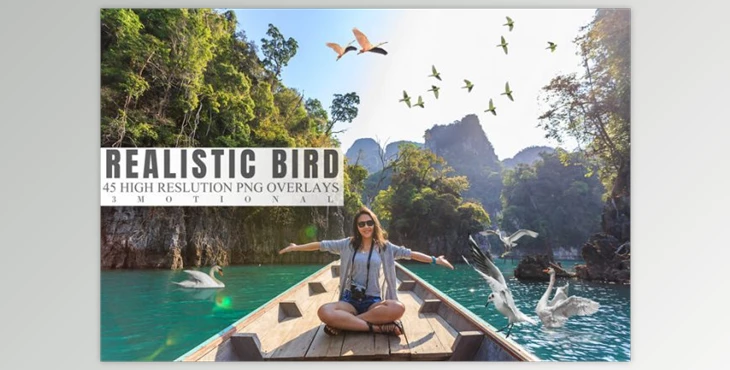 45 Realistic Bird Overlays (3motional)