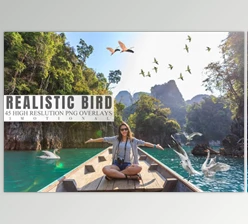 45 Realistic Bird Overlays (3motional)