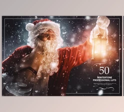 50 Wintertone LUTs (Look Up Tables) - (CreativeMarket-5376131)