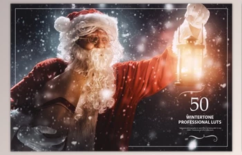 50 Wintertone <span class='badge badge-warning'>LUTs</span> (Look Up Tables) - (CreativeMarket-5376131)