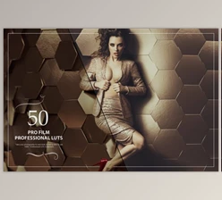50 Pro Film LUTs (Look Up Tables)  (CreativeMarket–5376093)